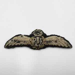Raf Pilot Wings | eBay