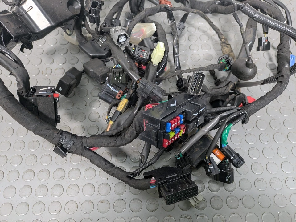 HONDA CRF1100L Manual Wiring harness loom 2024 30059442 - Image 2 of 4