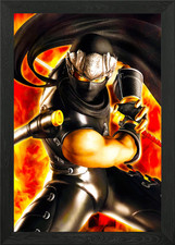 Ninja Gaiden Framed Wall Art Poster Canvas Print Picture