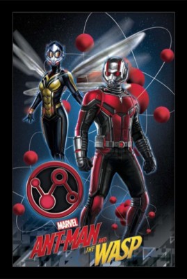ANT MAN AND THE WASP FLOATING MOLECULES 13x19 FRAMED GELCOAT POSTER MOVIE MARVEL