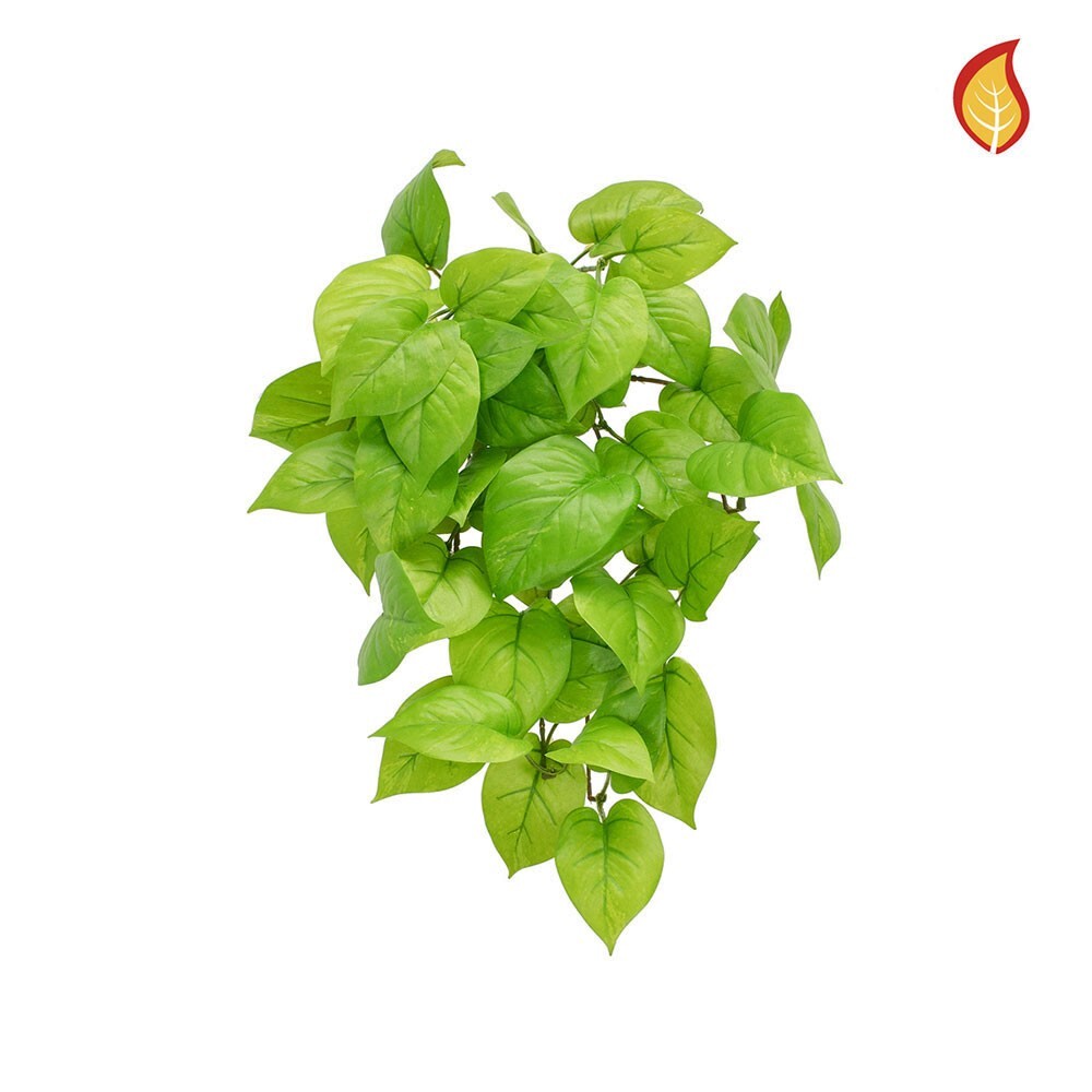 Artificial Silk Green Pothos or Devil's Ivy Bush Fire Retardant 51cm/20 Inches