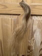 BLONDE ROAN NATURAL HORSE HAIR TAIL FOR ROCKING OR TOY HORSE ARTS CRAFTS DEC 13