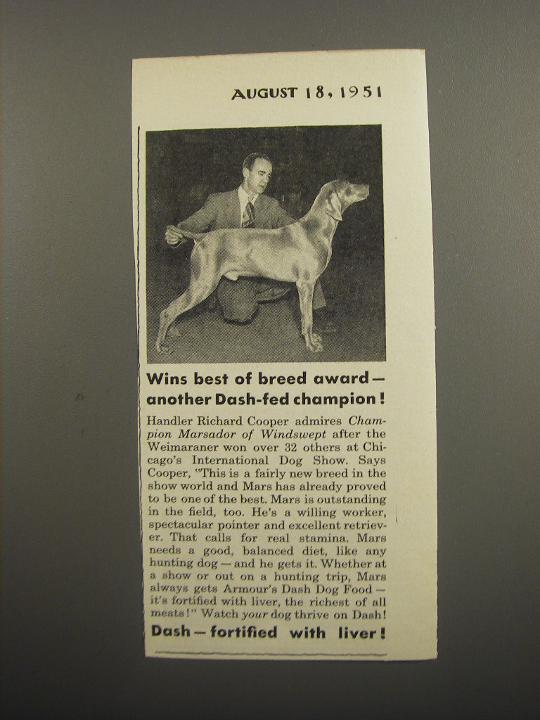 Ad - Weimaraner Dog - Wins Best Of Breed Award