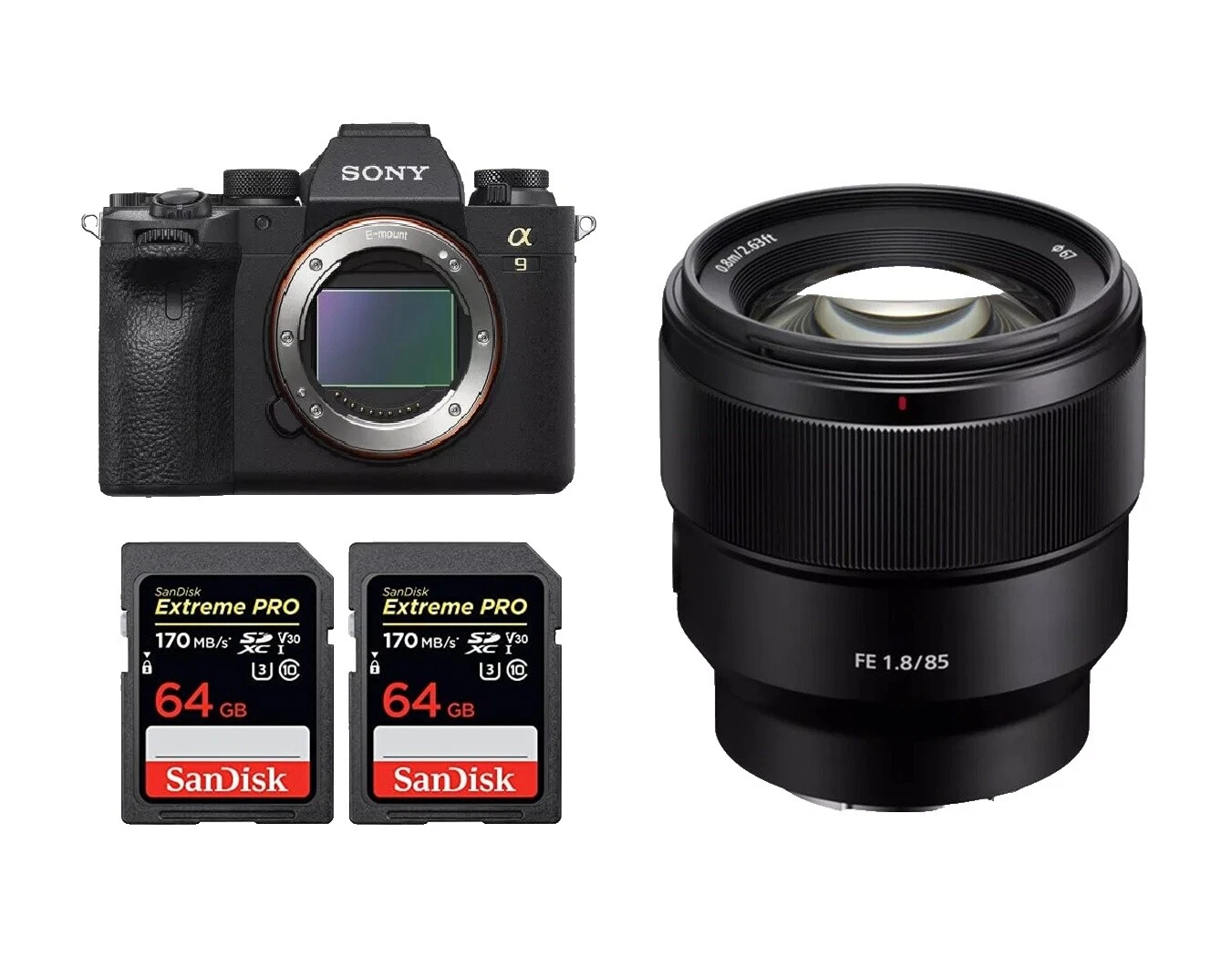 Sony A9 Digital Cameras with DPOF Support