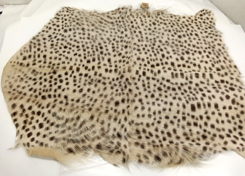 Creative Co-Op DF1927 Leopard Print Goat Fur Rug 2' x 3' (Each Will Vary) - Picture 2 of 9