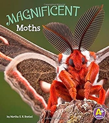 Magnificent Moths Library Binding Martha E. H. Rustad