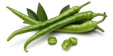 15 Organic Indian Long Chile Pepper Seeds, FREE SHIPPING
