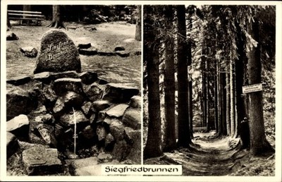 Ak Grasellenbach im Odenwald, Hotel Siegfriedsbrunnen, Waldidyll - 4948197