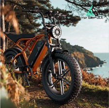 NEW 20'' Fat Off-Road Mountain Ebike 1500W Peak 32MPH Electric Bike for Adult