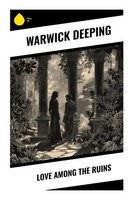 Warwick Deeping | Love Among The Ruins | Taschenbuch | Englisch (2023)