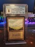 1993 MTG Plains (No Trees) Alpha Edition Regular CGC Near Mint 8