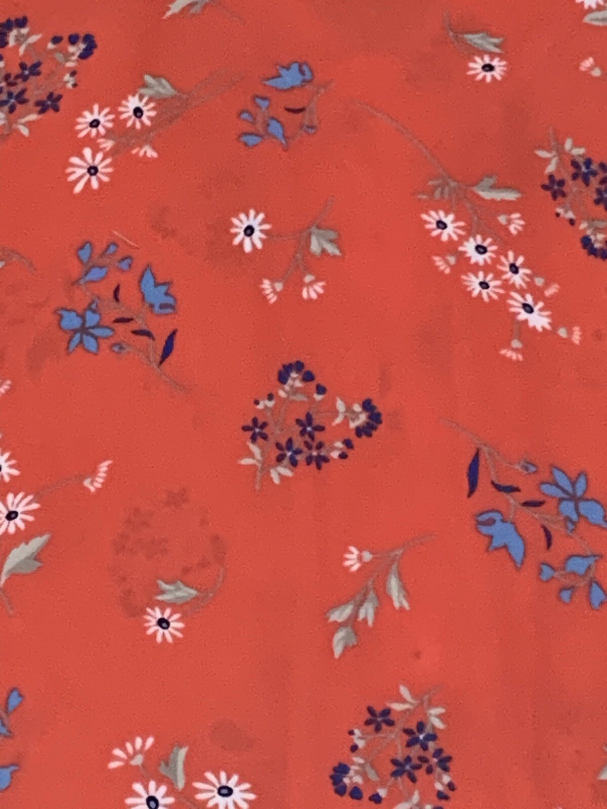 Sienna Sky Womens Shirt Size Small Red Floral Lightweight Flowy Camisole