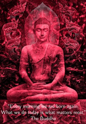 Inspirational Buddha Quote Reiki Chakra Healing Laminated Mini Poster Ebay Inspirational Buddha Quote Reiki Chakra Healing Laminated Mini Poster Ebay