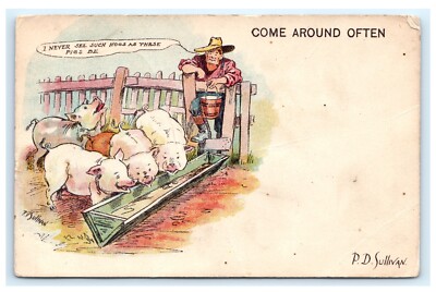 P.D. Sullivan A/S Come Around Often Hogs Pigs Comic Humor Postcard F10