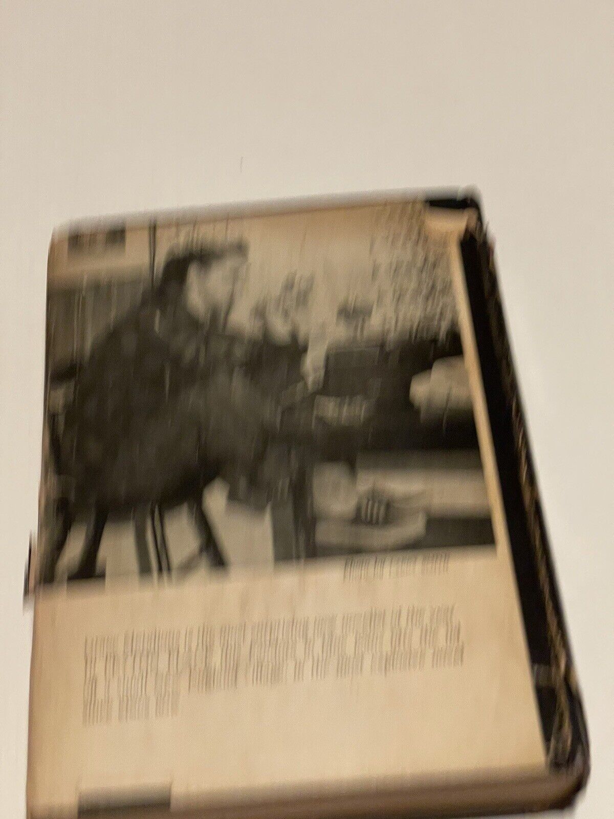 Picture 7 of 12