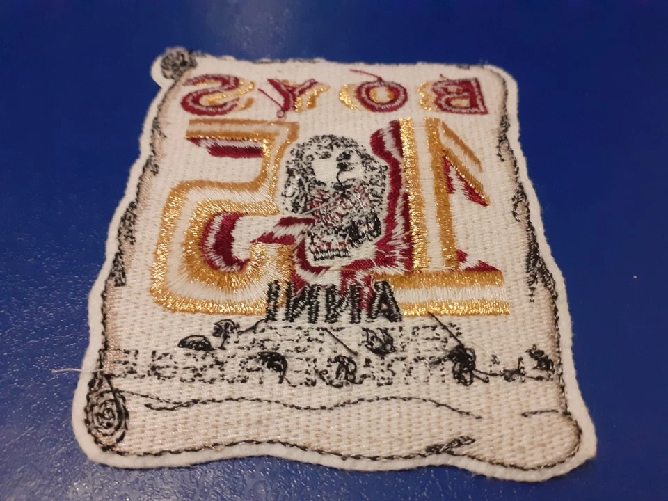 STUPENDA TOPPA PATCH ULTRAS BOYS REGGINA. 15° ANNO - Immagine 3 di 3