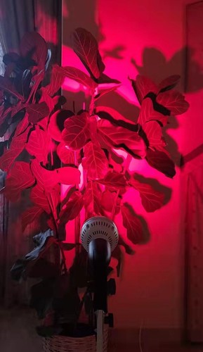 PAR30 40 Watt LED Light Bulb-Deep Red ( 4 units ) - Picture 9 of 11