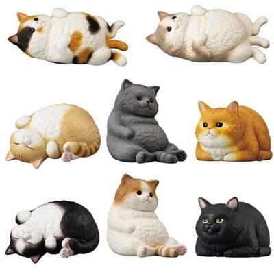 Mocchiri Kororin♪ Cat [Set of 8 types (full complete)] Capsule