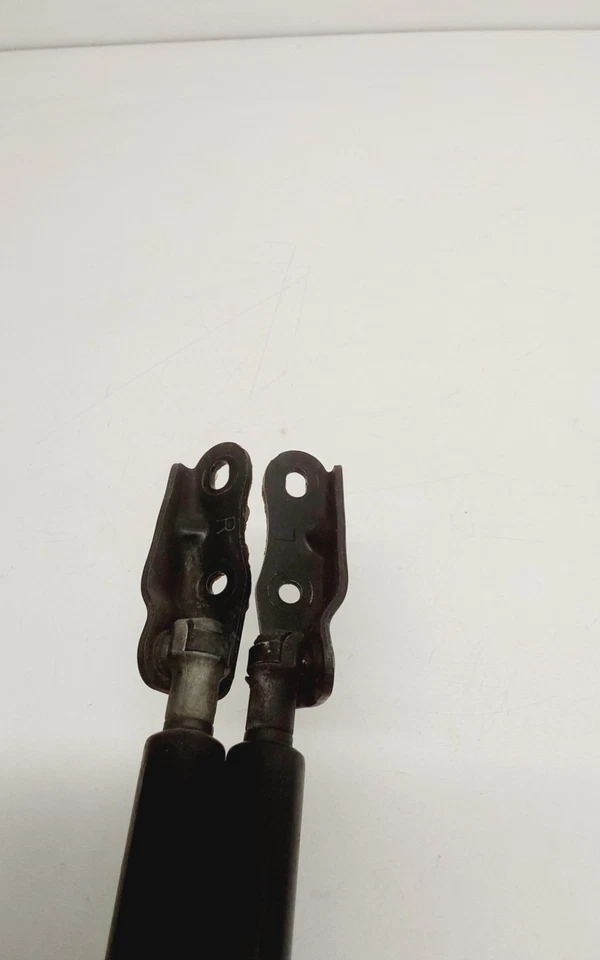 Toyota Matrix XR 2006 puerta trasera tapa puntales OEM Foto 4 de 4