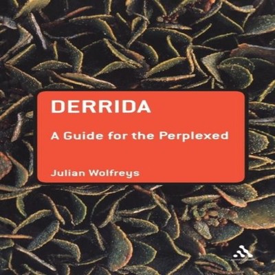 Derrida A Guide for the Perplexed Julian Wolfreys Paperback Bloom