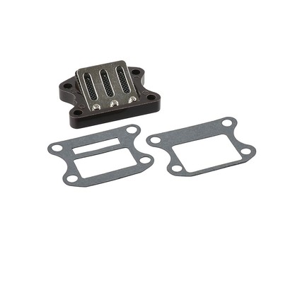 Membranblock für Daelim / Honda / Kymco / Peugeot / SYM 50ccm 2-Takt mit Carb...