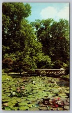Fort Wayne IN Jaenicke Gardens Water Lilies Postcard Dexter Press