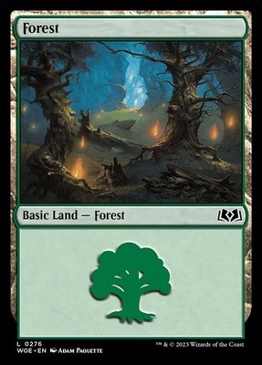 10x FOREST basic lands - Wilds of Eldraine - NM (Various artwork) SPARROW MAGIC
