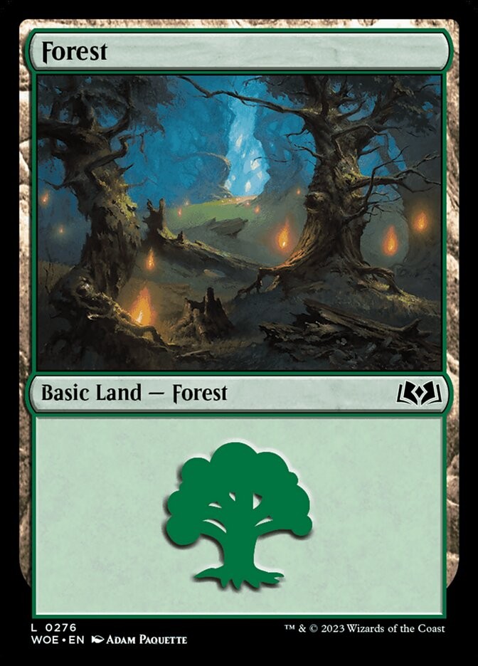 10x FOREST basic lands - Wilds of Eldraine - NM (Various artwork) SPARROW MAGIC