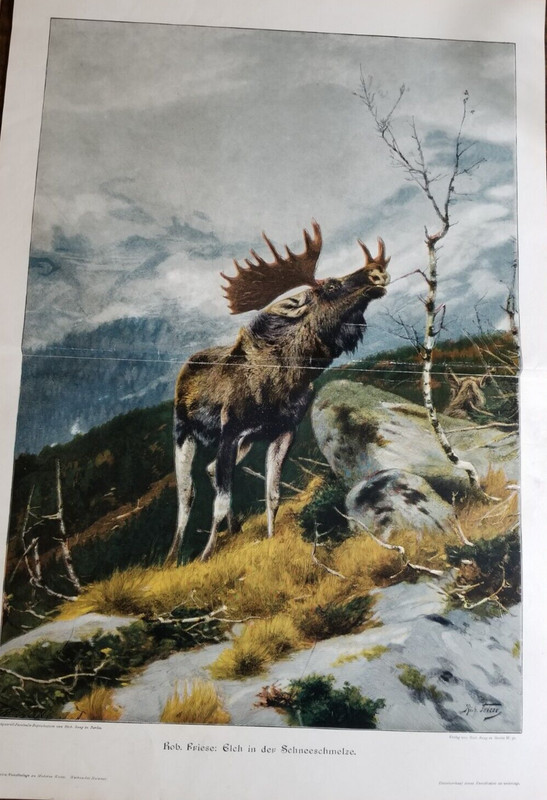 [#2251] Magnificent Elk(1880-1890)German Description [15" x 25"] 