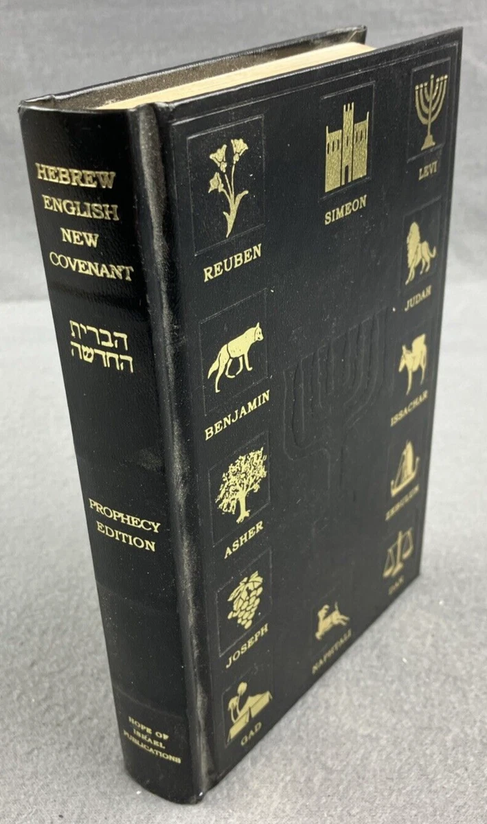 希伯来语英文圣经在收藏开始书籍| eBay