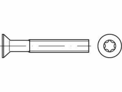 200 x Senkschrauben mit Innensechsrund ISO 14581 A 4 M 6 x 50 -T30 A 4 VES, CAB 