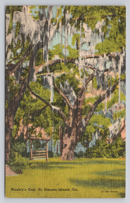 Wesley's Oak St Simons Island Georgia John Wesley Postcard