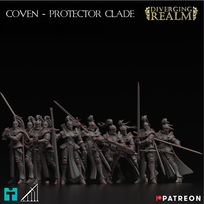 Diverging Realms - Sisters of the Coven, Protector Battle Squad x 10