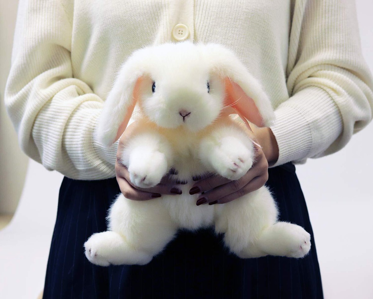 Yoshitoku Lop Ear Rabbit Mwh Plush Stuffed Toy Japan 180605 Yoshitoku Lop Ear Rabbit Mwh Plush Stuffed Toy Japan 180605