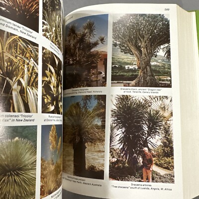 洋書 TROPICA: Exotic Plants and Trees Tropica : Color Cyclopedia of Exotic Plants and Trees by