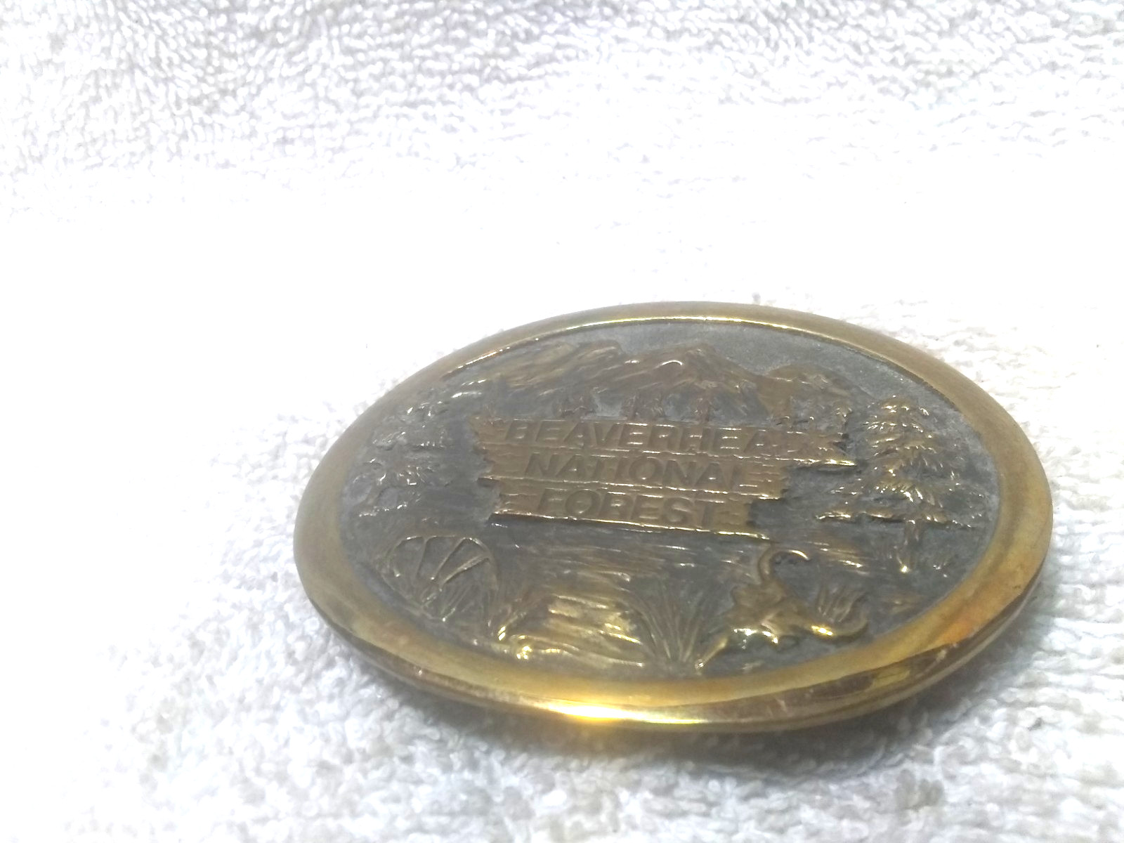 Beaverhead National Forest Solid Brass Buckle Wes… - image 5