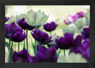 Lila weiße Tulpen gerahmtes Wandbild Poster Leinwanddruck Bild
