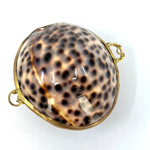 Trinket Pill Box Natural Tiger Cowry Seashell Shell Coin Purse 2in Pagan - Picture 9 of 9