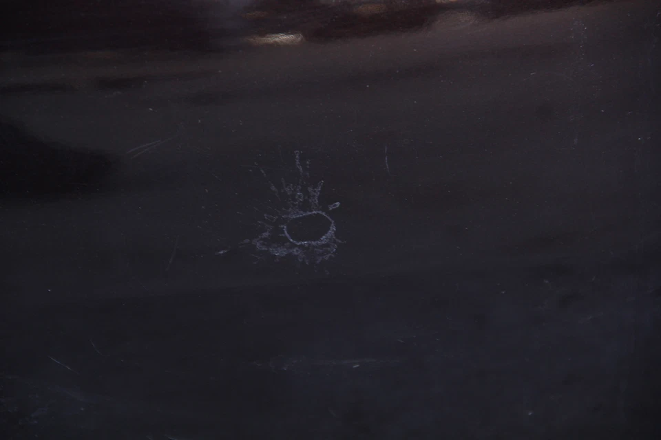 Honda Element 03-11 Rear Tailgate Trunk Lid Assy Purple 68100-SCV-A90ZZ, A798, O - Image 3 of 4