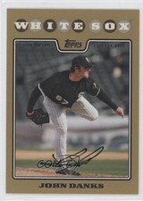 2008 Topps Gold Border 450/2008 John Danks #508 0l1