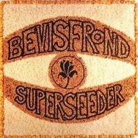 Superseeder | The Bevis Frond | Audio-Cd | CD | 2016 | 375 Media GmbH