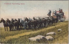 Combined Harvesting Scene Combine Harvester Wheat Field Farm Workers Postcard