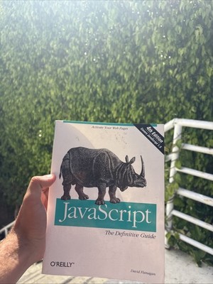 JavaScript: The Definitive Guide - 9780596000486, paperback, David Flanagan, new
