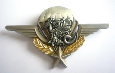 BREVET PARACHUTISTE "RPIMa"