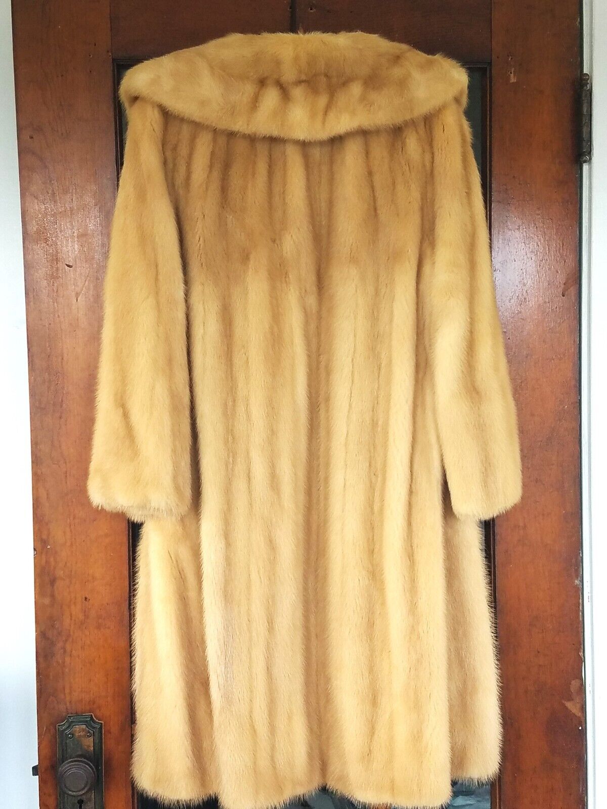Picture 5 of 11