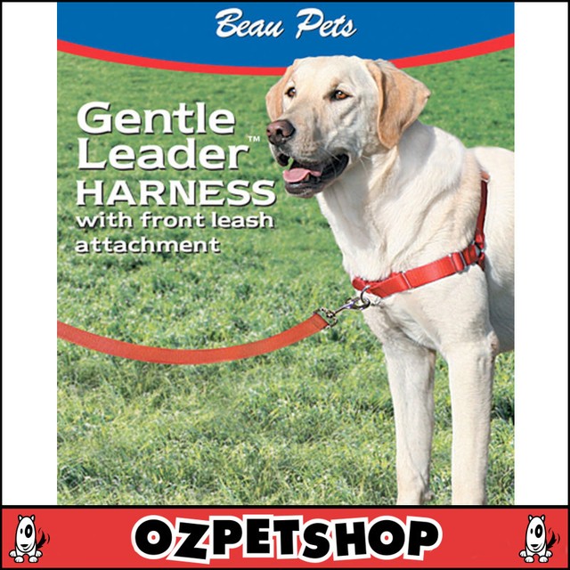 gentle leader and easy walk best for