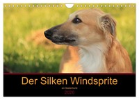 Der Silken Windsprite - Ein Seelenhund (Wandkalender 2026 Din A4 Quer),...