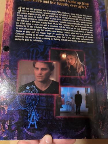Modellino Sideshow Buffy l'ammazzavampiri ANGEL 12" David Boreanaz scala 1/6 NUOVO - Foto 4 di 5
