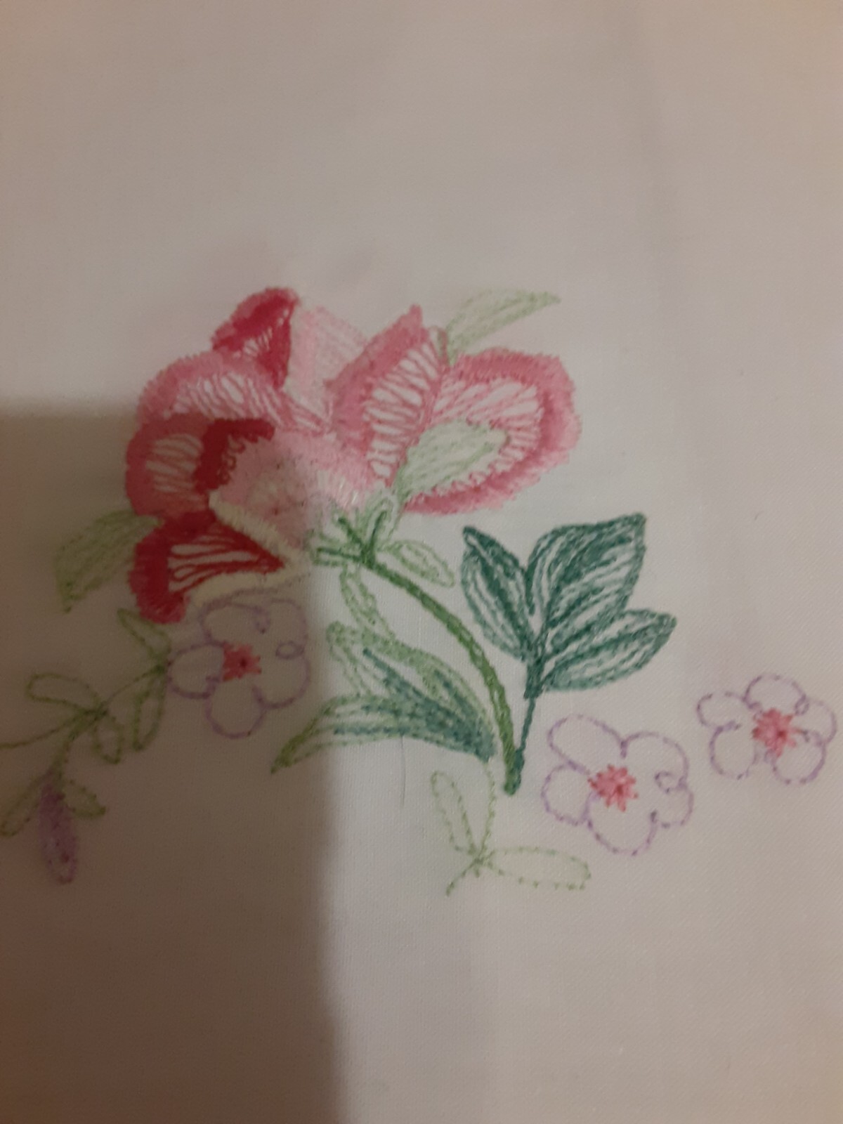 Picture 11 of 11