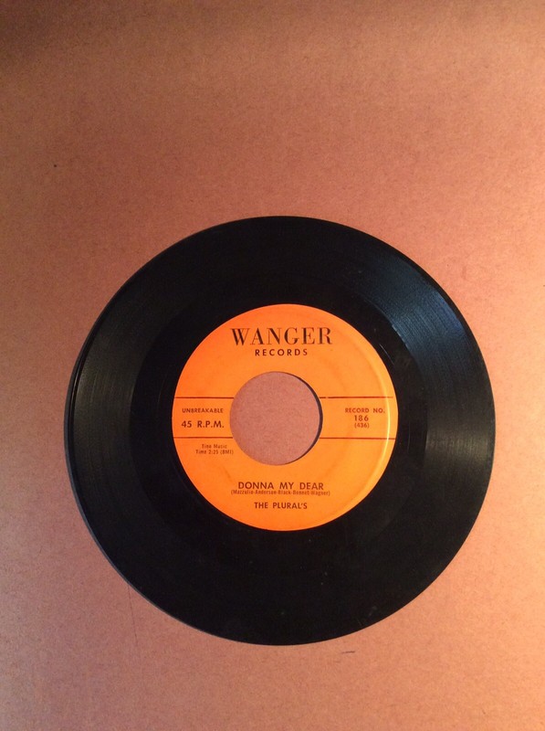 Plurals on Wanger  "Donna My Dear"   Excellent Doo Wop